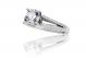 Split Shank Pave-Set Diamond Engagement Ring Setting in 14k White Gold (0.35ct. tw.)